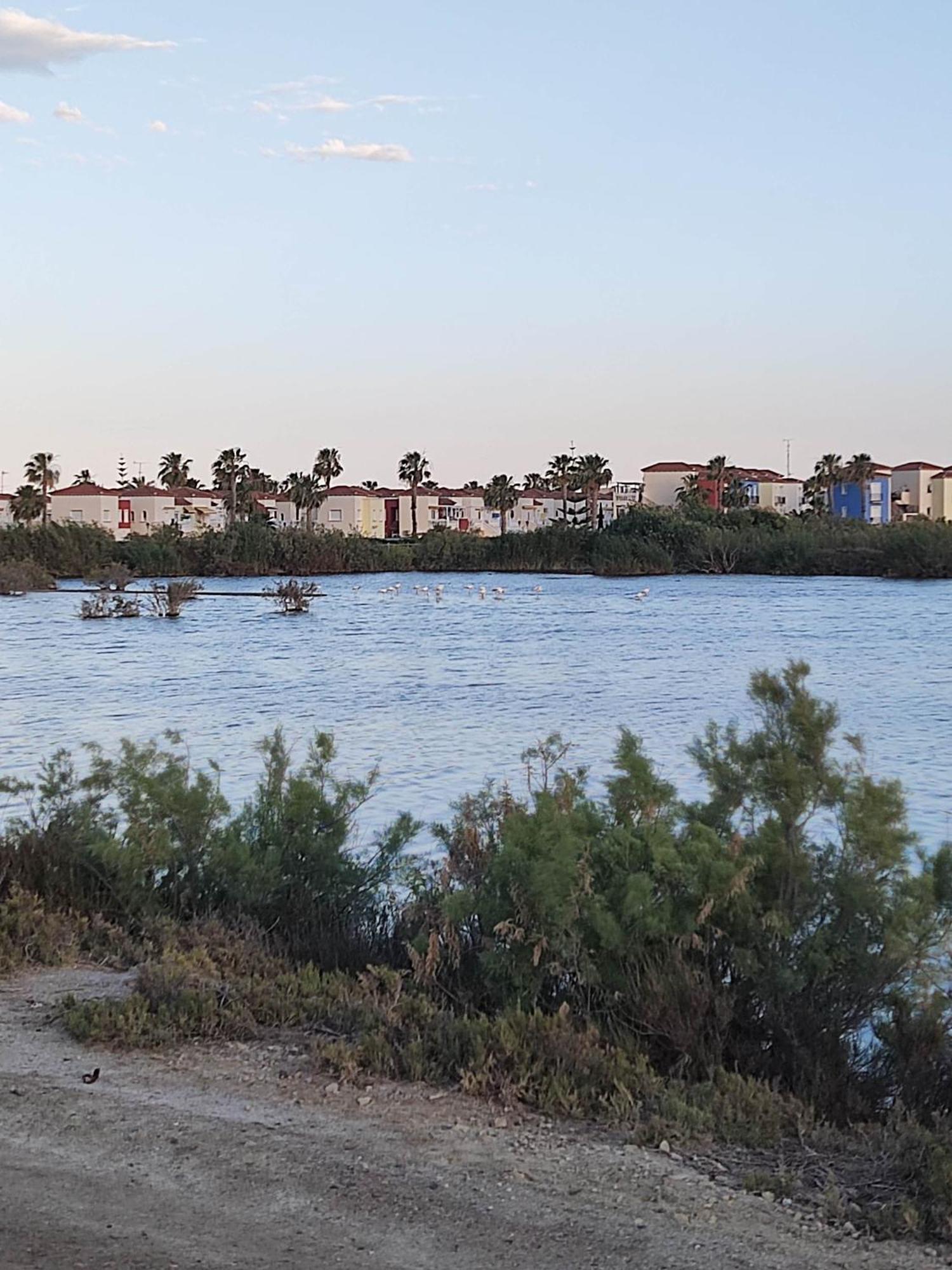 El Mirador De Torremari - Nudista - Vera Playa Bagian luar foto